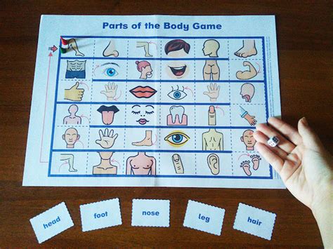 Body Parts Game .